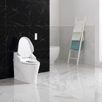 Saga Smart Toilet