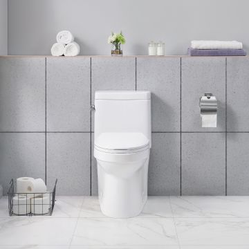 Sabine 1-piece Dual Flush Toilet